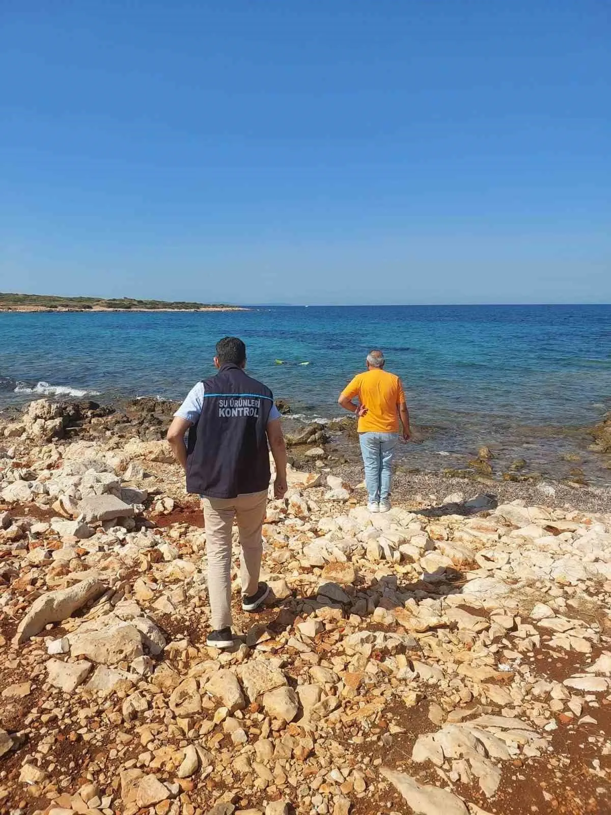Didim kıyılarında sıkı takip: Denizlerdeki yaşam güvence altında