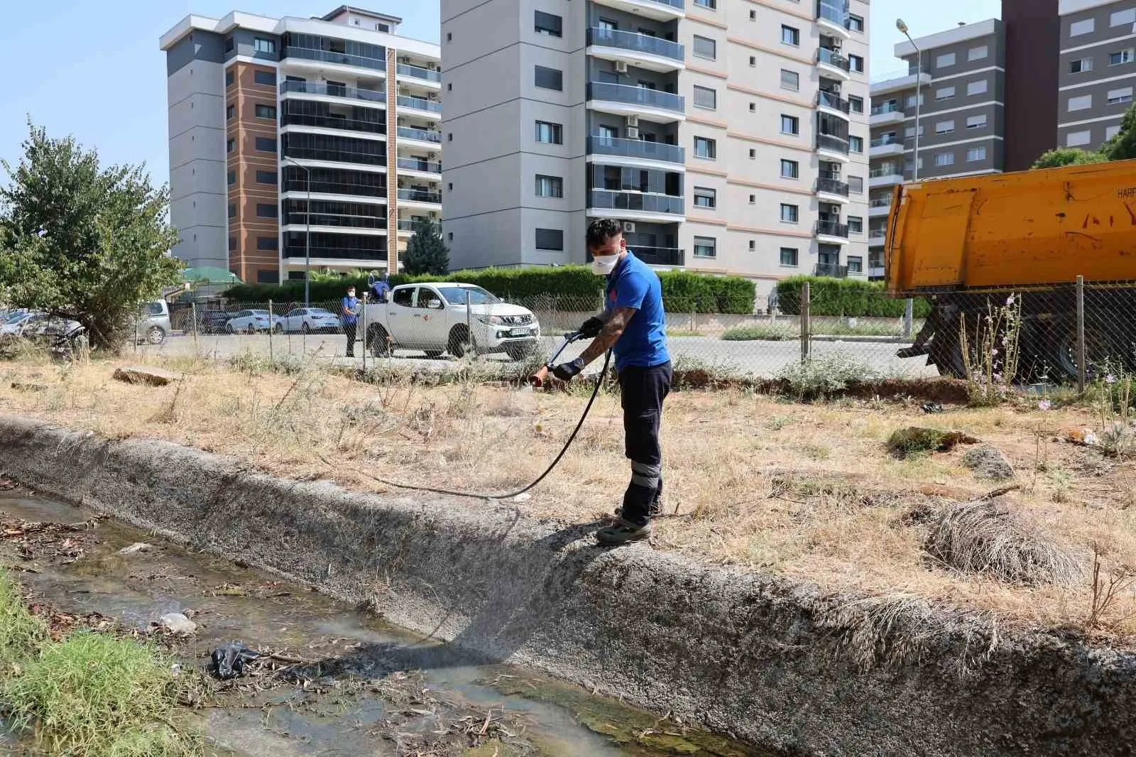 Efeler’de hijyen operasyonu: Zararlılarla mücadelede larva dönemi stratejisi
