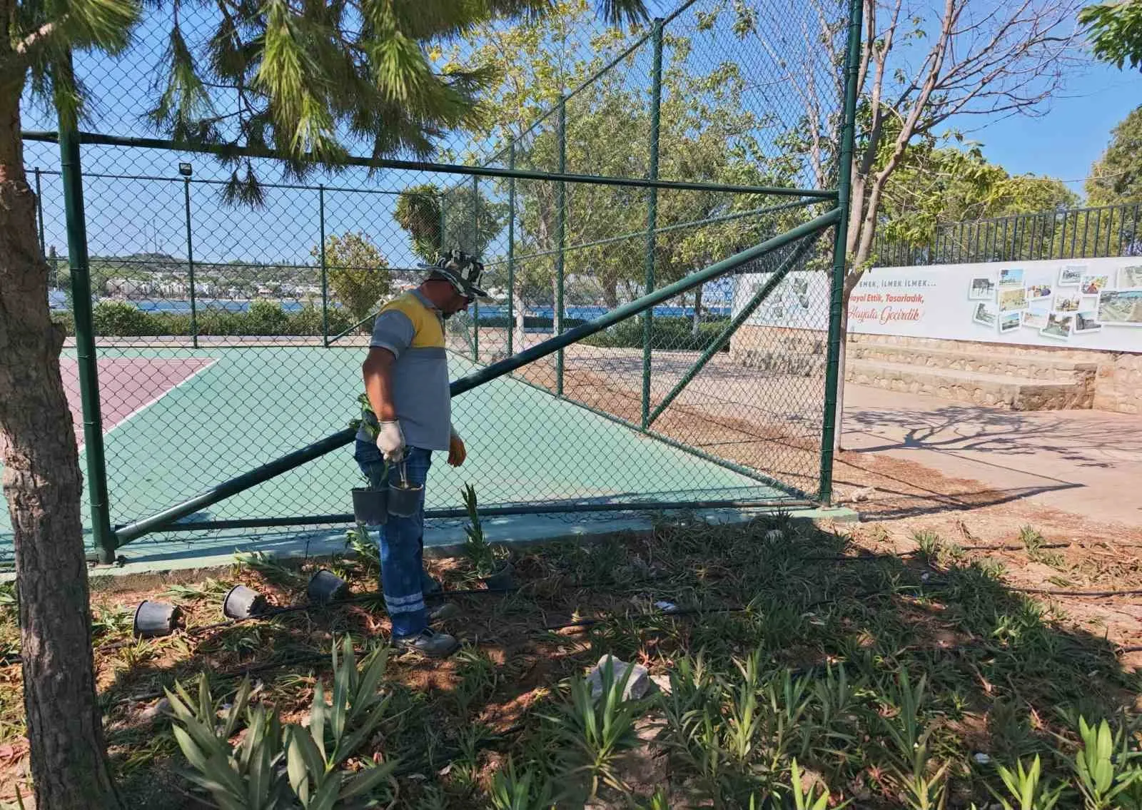 Didim'in parkları artık kendi bahçesinden: Belediye üretimde dışa bağımlılığı bitirdi