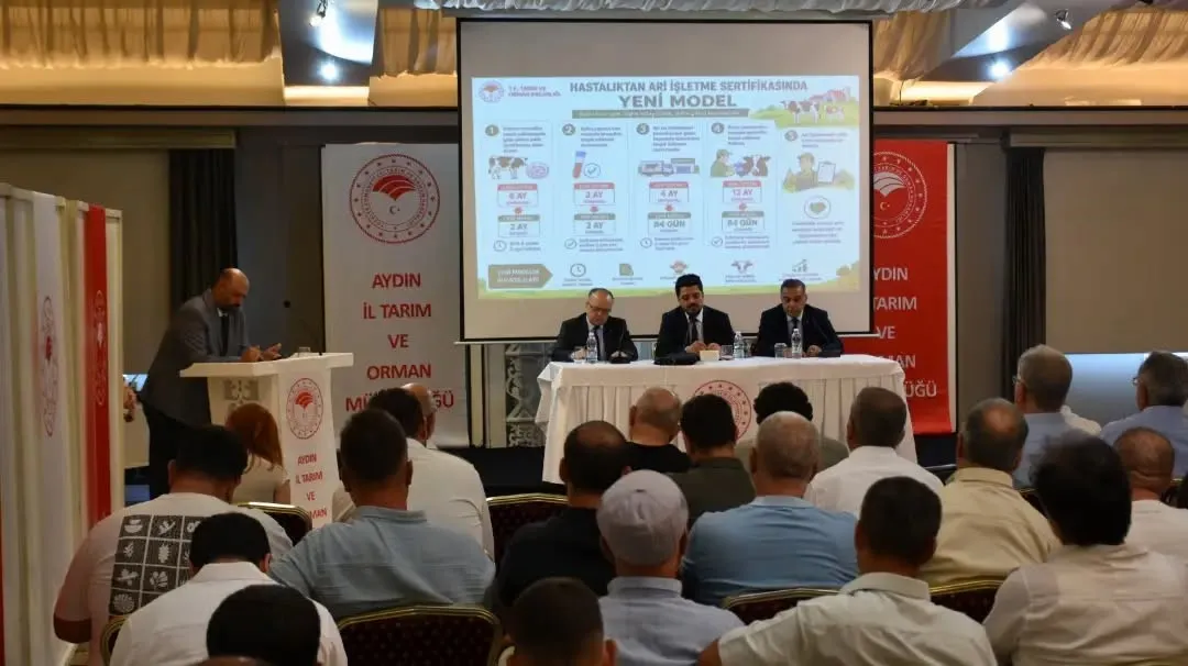 Aydın hayvancılığında devrim gibi yükseliş: Hastalıktan ari işletmeler rekor kırdı