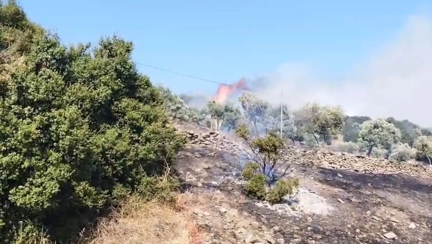 Çine'de korkutan yangın: Alevlere havadan ve karadan müdahale