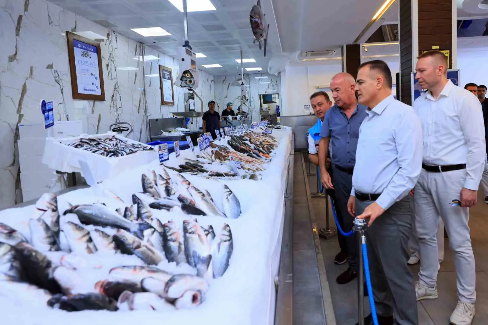 Muğla’nın denizden gelen bereketi milyar dolarları aştı: İhracatta tarihi zirve