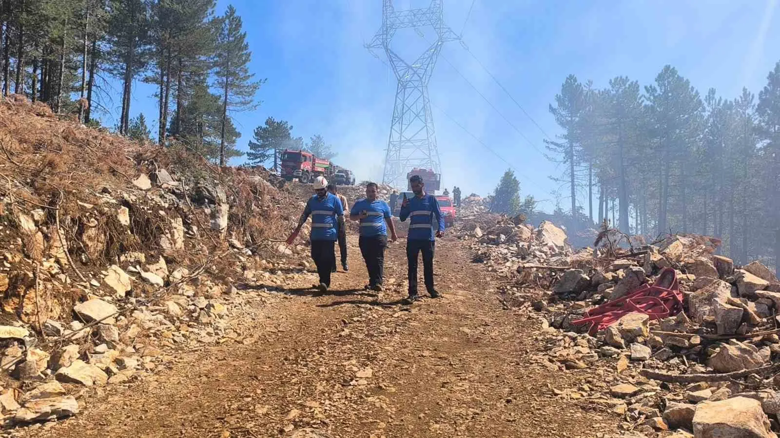 Yılanlı’daki Orman Yangınına Koordineli Müdahale