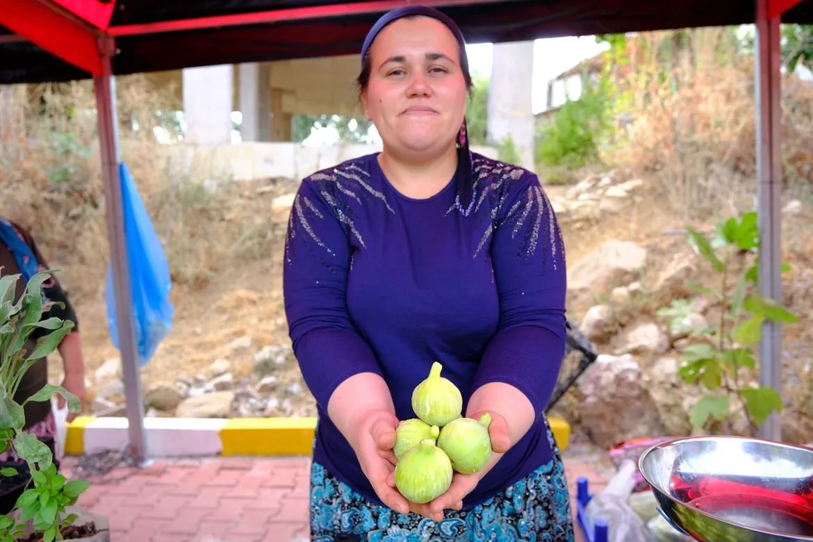 Menemen’de yıldızlar geçidi: Bozalan İnciri festivalle taçlanıyor