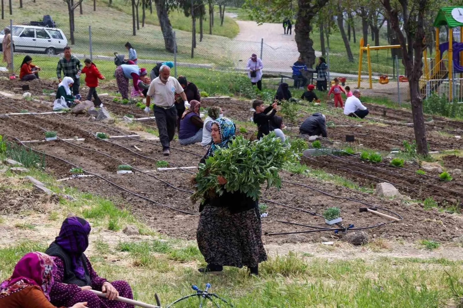 Şehrin kalbinde doğal hasat zamanı: Kadınların emeği sofralara bereket taşıyor