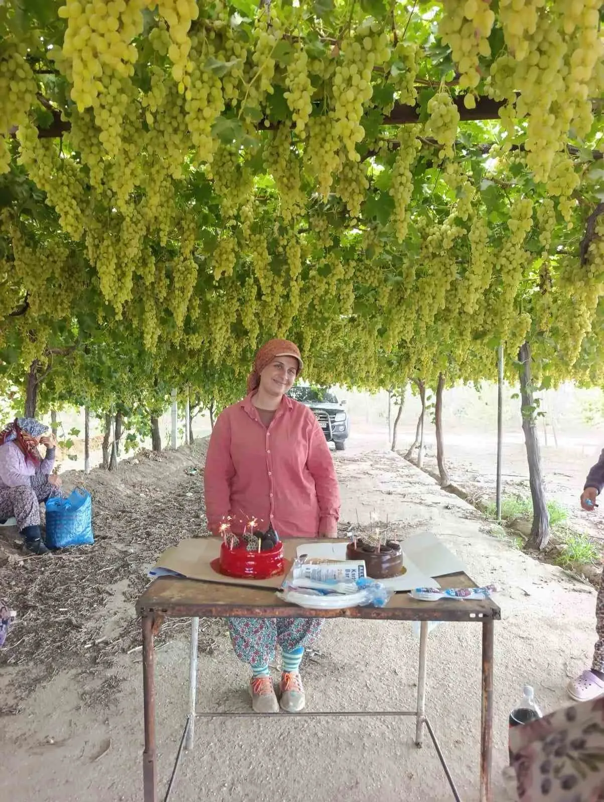 Bağda Ter Döken İşçiye Mesai Arkadaşından Pasta Sürprizi