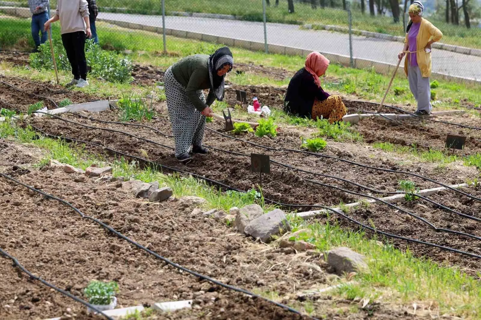 Şehrin kalbinde doğal hasat zamanı: Kadınların emeği sofralara bereket taşıyor