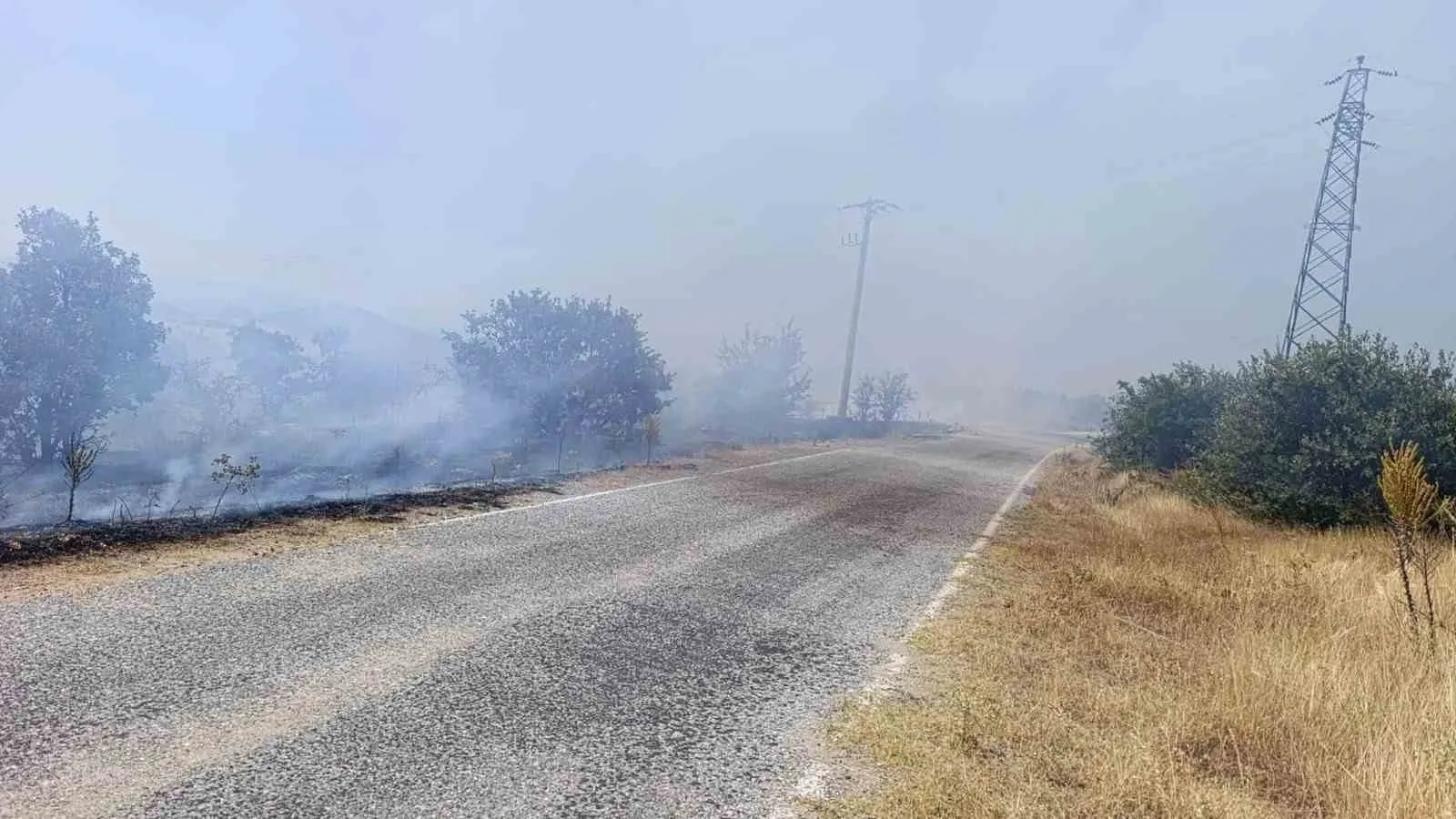 Gördes'te alevlerle zorlu mücadele: Tarım arazisinden ormana sıçradı