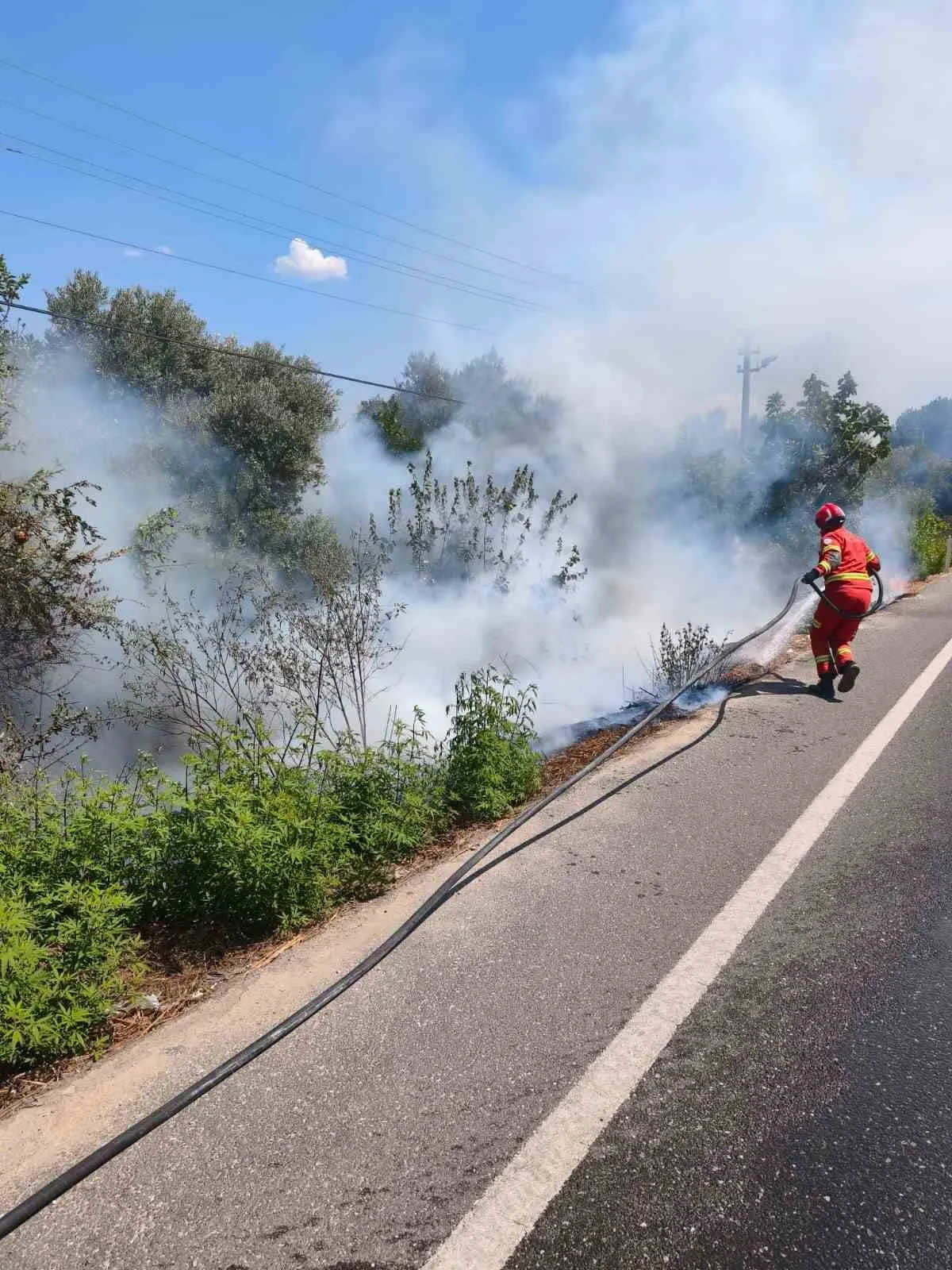 Ula’da Yol Kenarındaki Alevler Vatandaşları Alarma Geçirdi