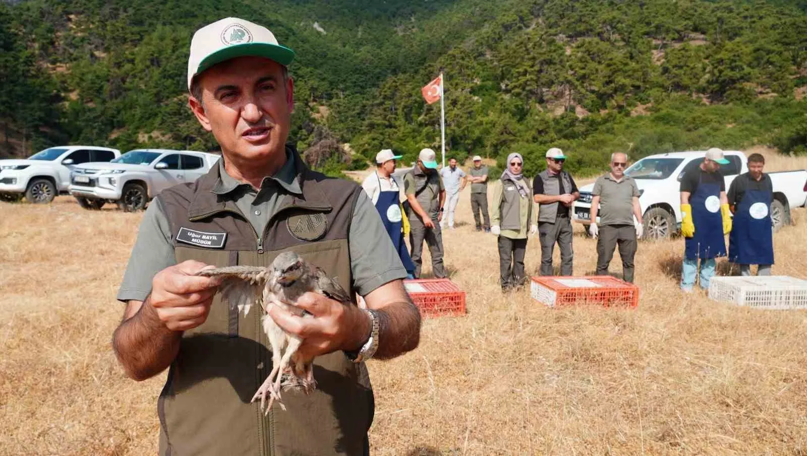 Manisa’nın yaban hayatına kanatlı destek: Bin 200 keklik doğaya bırakıldı