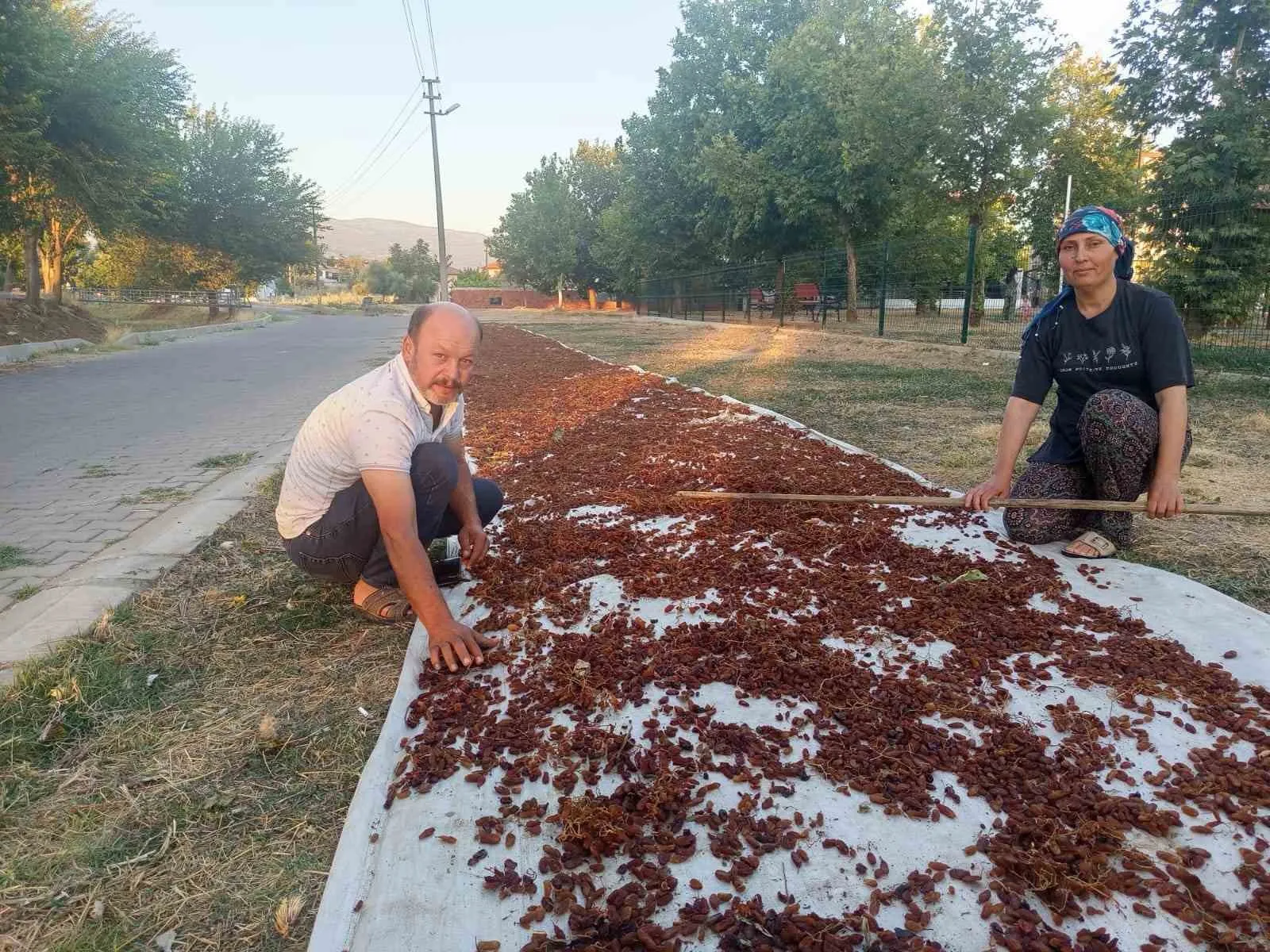 Sarıgöl’de güneşin bereketi: Üzüm üreticisi fiyat belirsizliğinin sona ermesini bekliyor