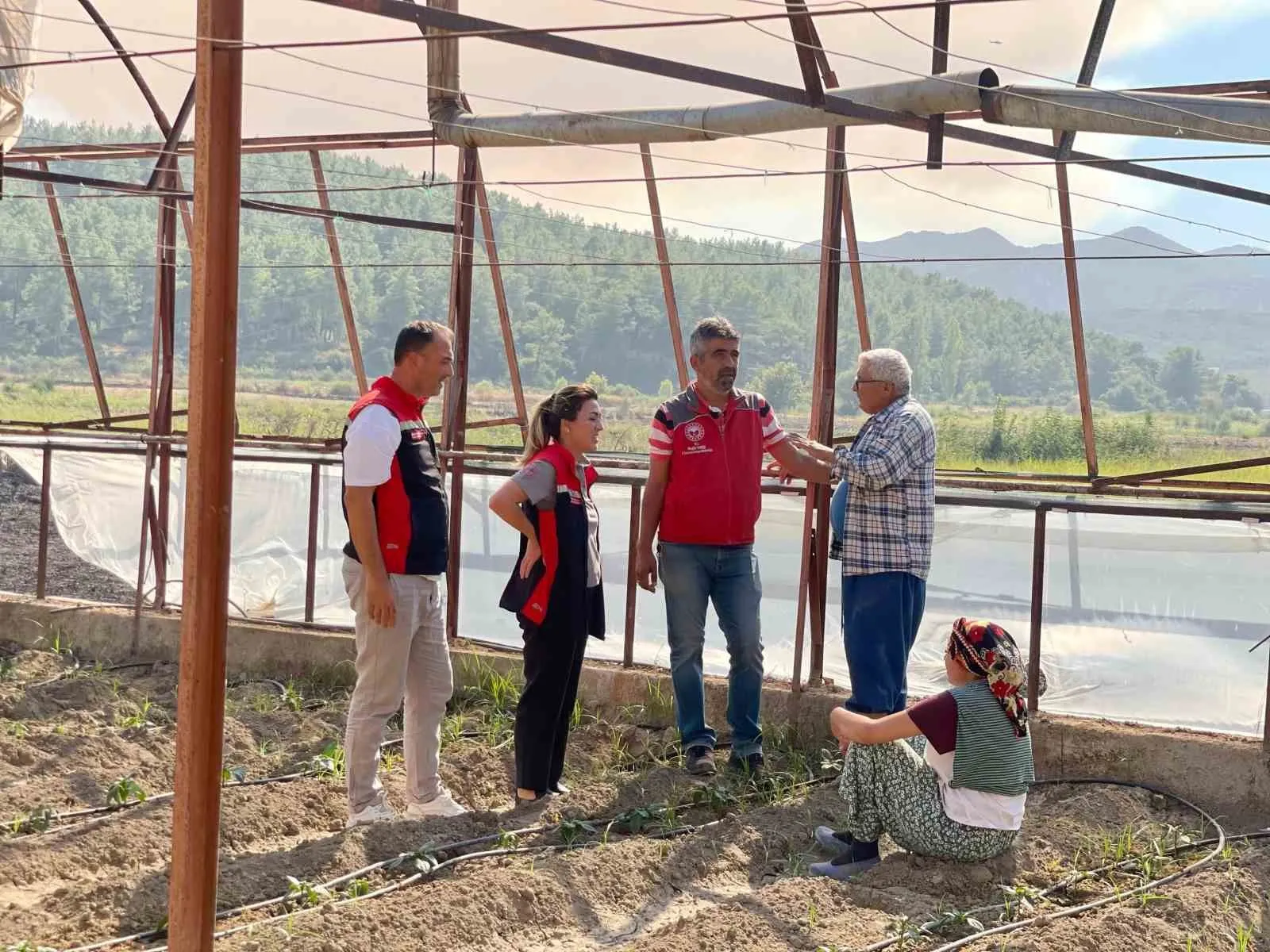 Korubükü’nde yangın sonrası tarım ekipleri sahada: Üreticinin imdadına devlet yetişti