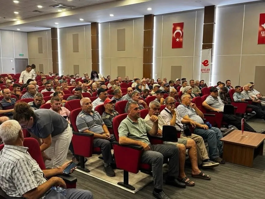 Efelerli incir üreticilerine rehberlik: Kaliteli hasat için yol haritası çizildi