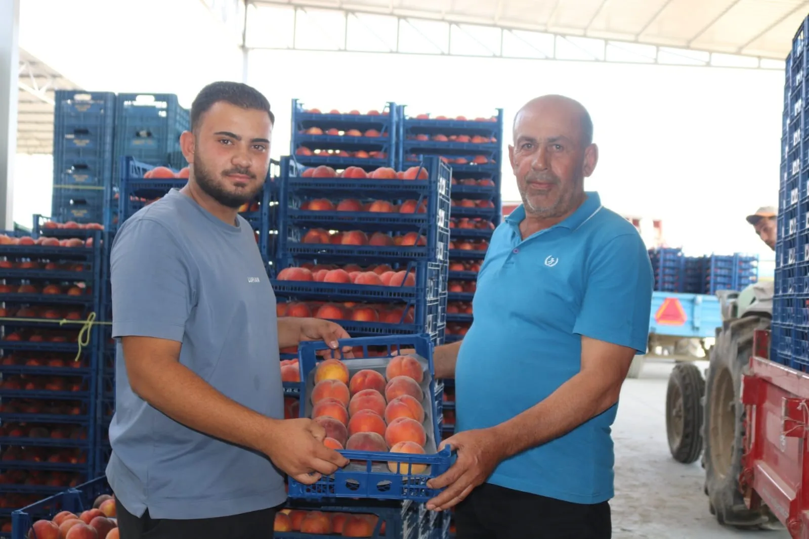 Çivril’de şeftali üreticisinin emeği çöpe gidiyor: Fiyatlar bir günde çakıldı