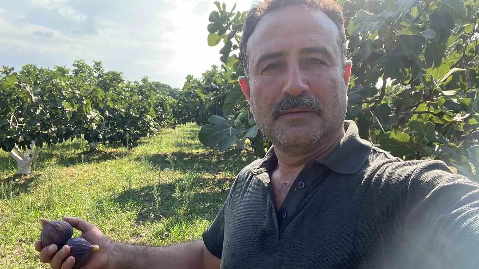 İncirde kalite savaşı: Üreticiden "tağşişli ürün" ve fiyat baskısı isyanı