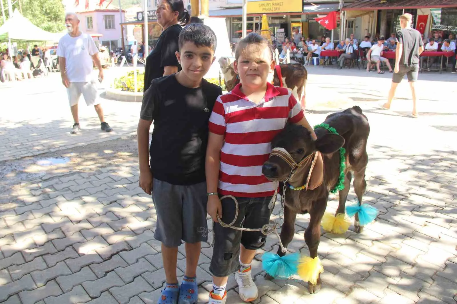 Yerkesik’te 38 Yıllık Gelenek: Minik Buzağılar Görkemli Podyumda Boy Gösterdi