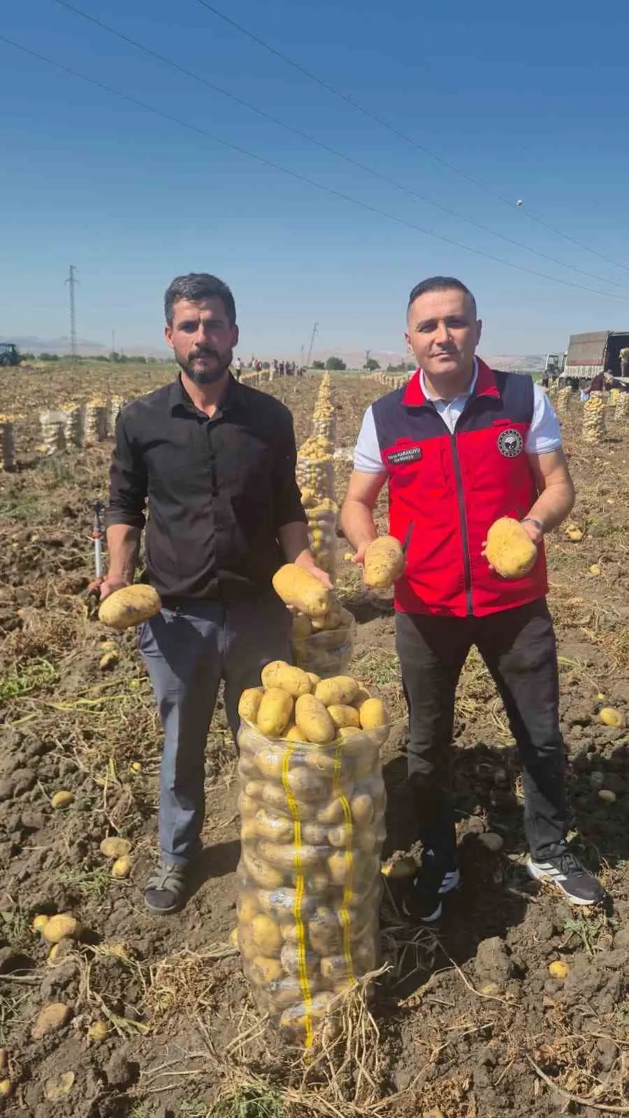Dinar’da patatesin altın yılı: Çölovası’nda tüccar yoğunluğu üreticiyi sevindirdi