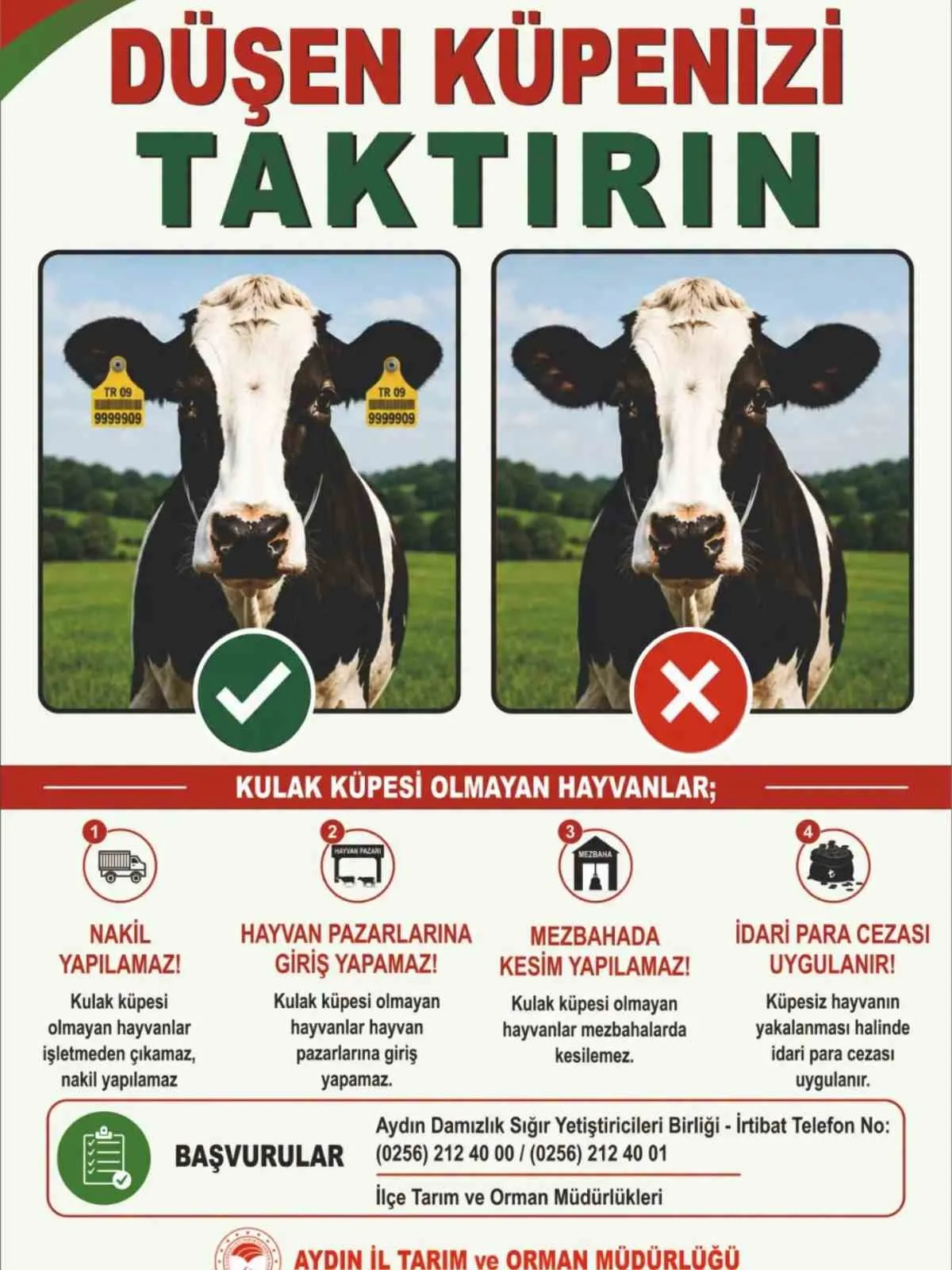 Aydınlı üreticilere acil çağrı: Hayvanlarınızın kimliksiz kalmasına izin vermeyin