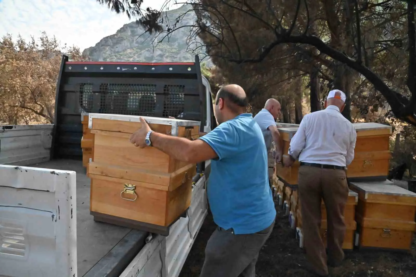 Arıcılıkta umut tazeleyen destek: 140 kovanını kaybeden üreticiye belediye kalkanı