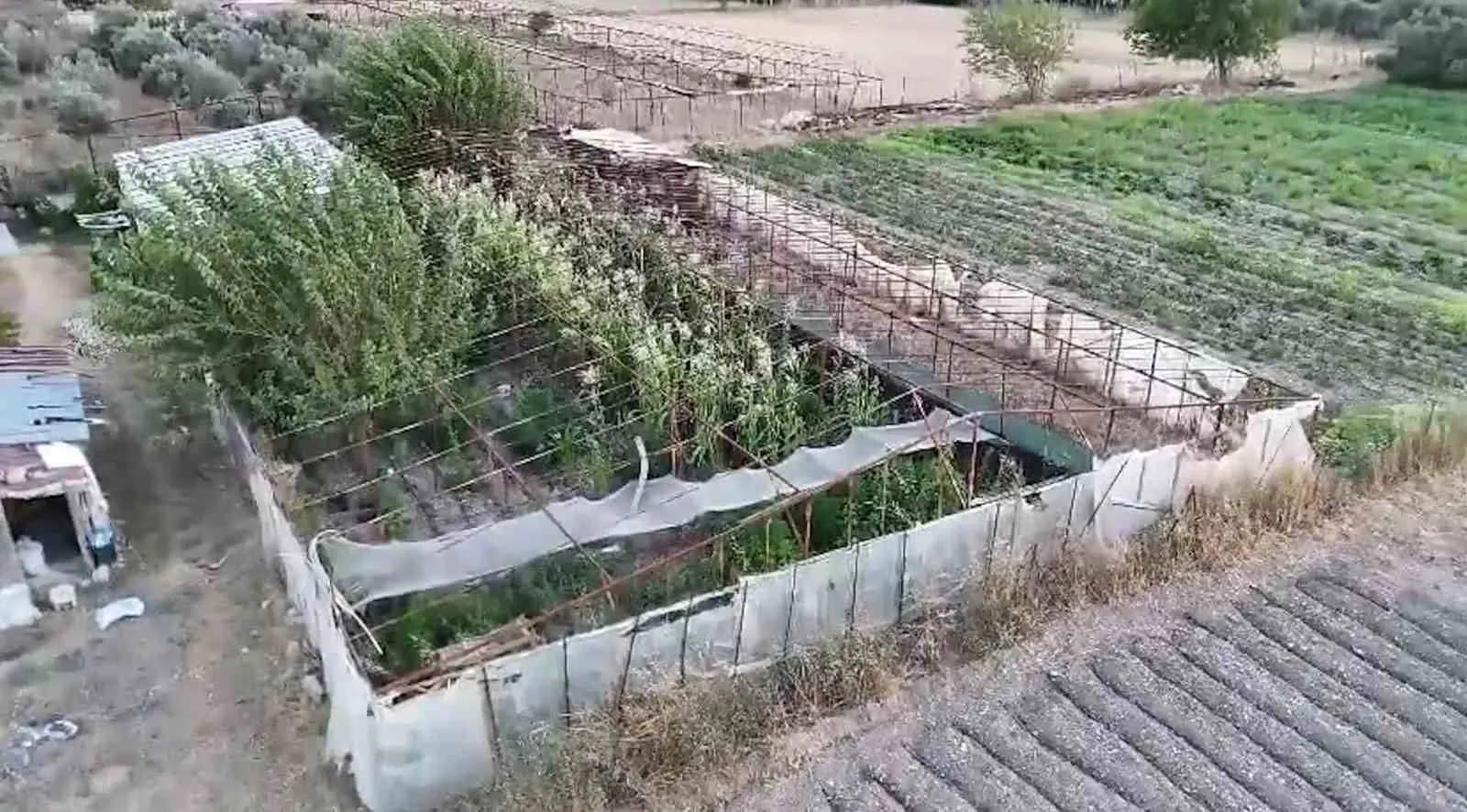Urla'da zehir tacirlerine darbe: Tarladan cephanelik çıktı