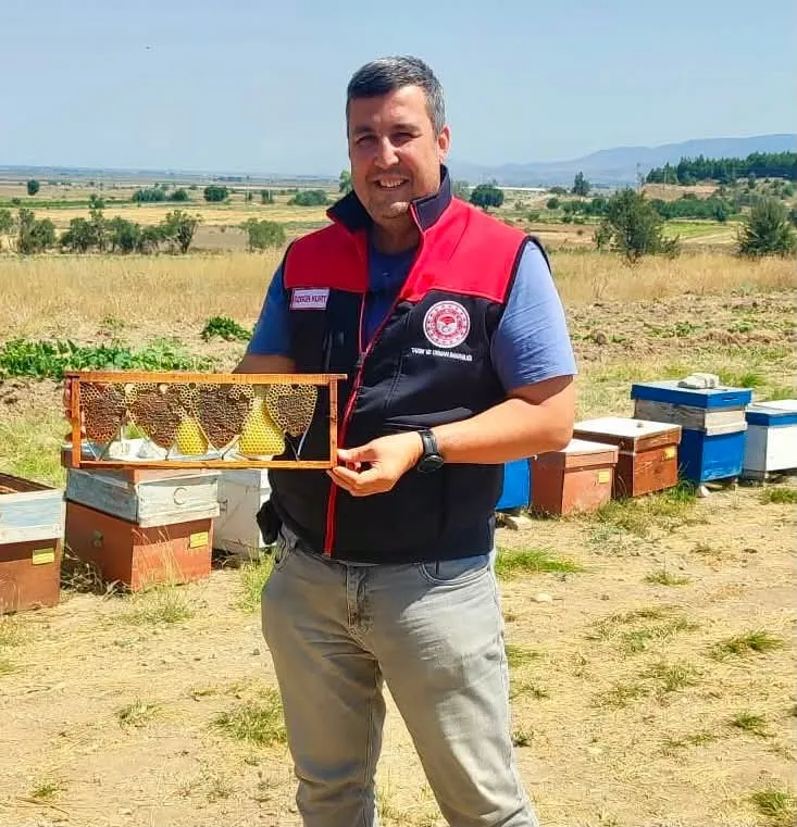 Arıların doğaüstü yeteneği: Baklan'daki kovanda sevgi dolu sürpriz