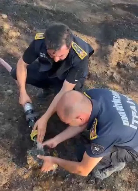 Çine'deki yangın felaketinde bir can daha kurtarıldı: İtfaiye erlerinden örnek duyarlılık