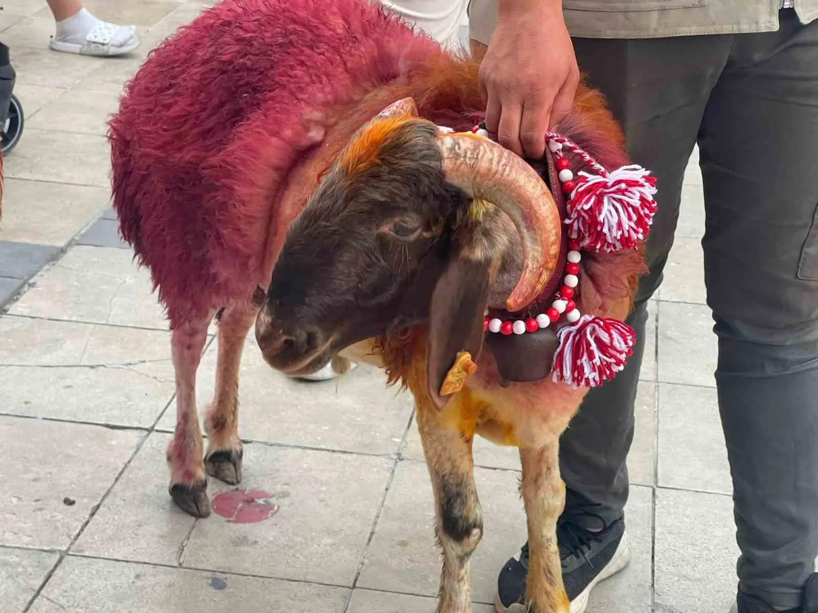 Şehrin kalbinde sıra dışı kortej: 853 yıllık miras yeniden sahnede