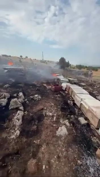 Tavas'ta arıcıların acı günü: Alevler kovanları küle çevirdi