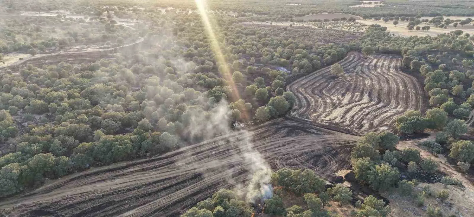 Denizli'de korkutan yangın: 100 dönümlük arazi küle döndü
