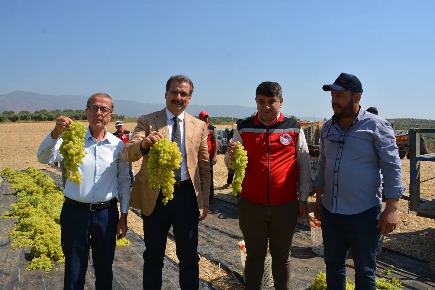 Salihli’de Hasat Coşkusu: Kaymakam Güldoğan Bağda Üreticiyle Buluştu