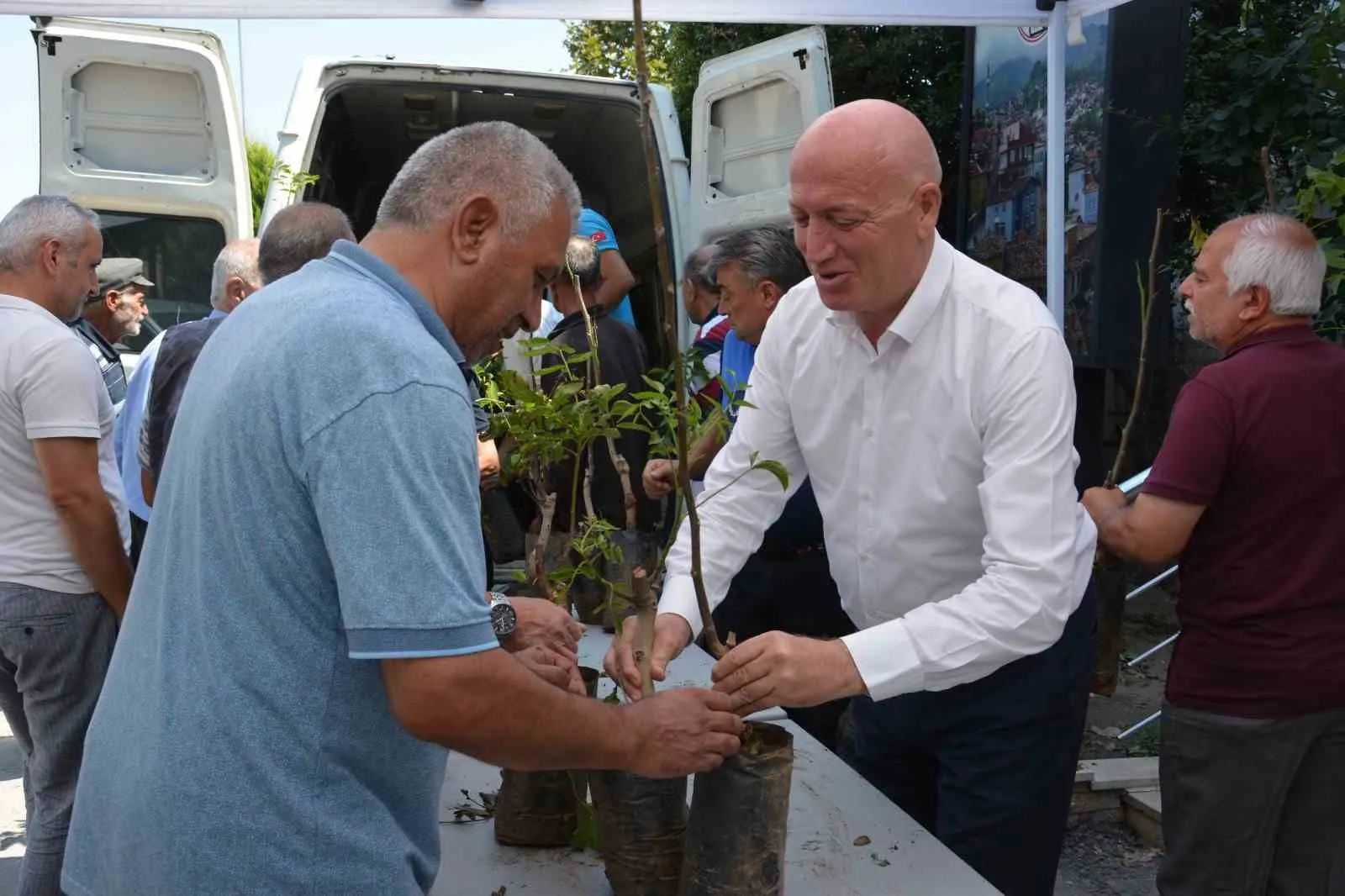 Babadağ'da tarımsal seferberlik: Ceviz fidanları toprakla buluştu