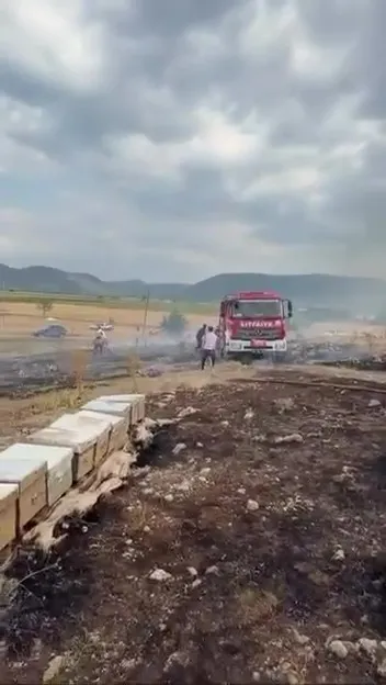 Tavas'ta arıcıların acı günü: Alevler kovanları küle çevirdi