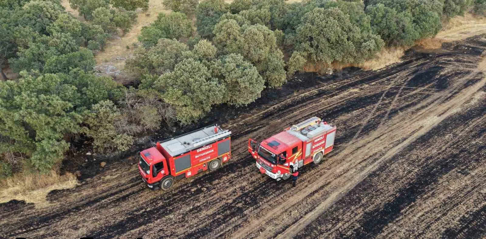 Denizli'de korkutan yangın: 100 dönümlük arazi küle döndü