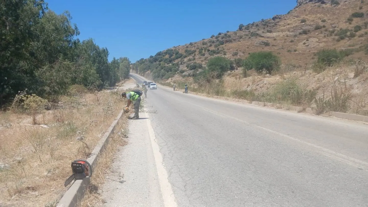 Bodrum’da alevlere karşı yeşil önlem: Binlerce metrekarelik alan temizlendi