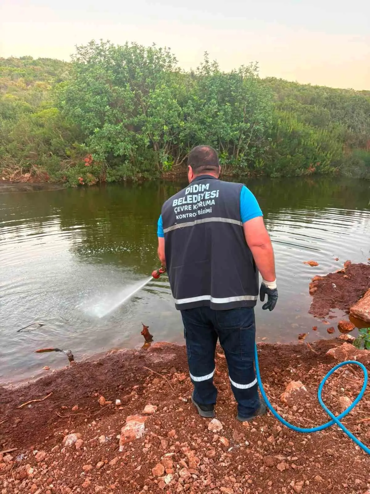 Didim’de sineksiz bir yaz için düğmeye basıldı: Ekipler sahada