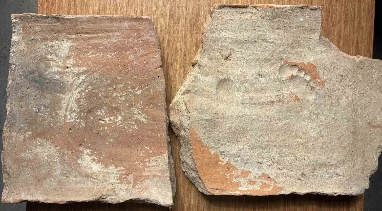 Bin 900 yıl öncesinden gelen minik adımlar: Stratonikeia’da duygulandıran keşif