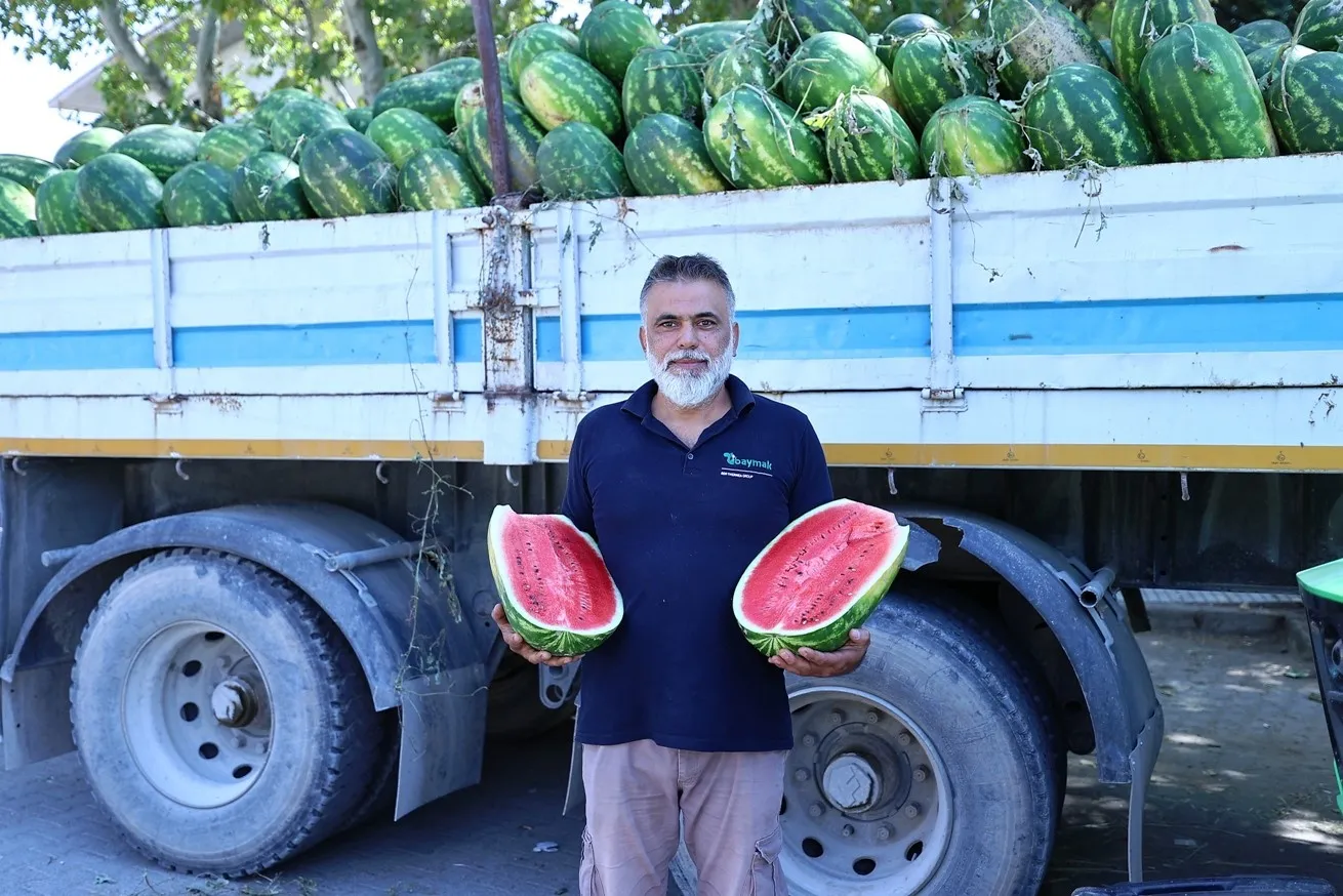 Denizli'de çiftçinin yüzü güldü: Tarlada kalan ürünler sofralara taşınıyor