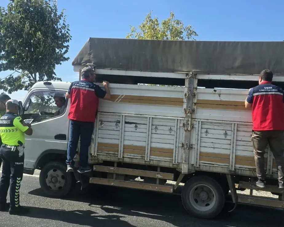 Uşak yollarında sıkı takip: Hayvan sevkiyatına geçit yok