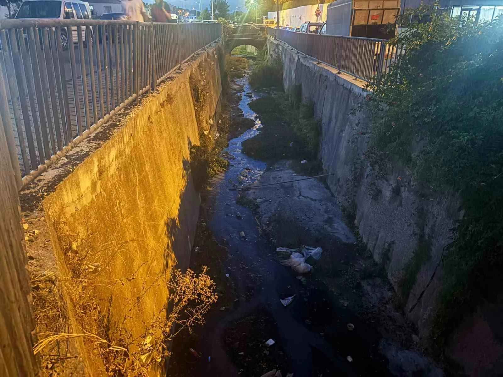 Urla'da dere kirliliğine karşı gönüllü seferberlik çağrısı