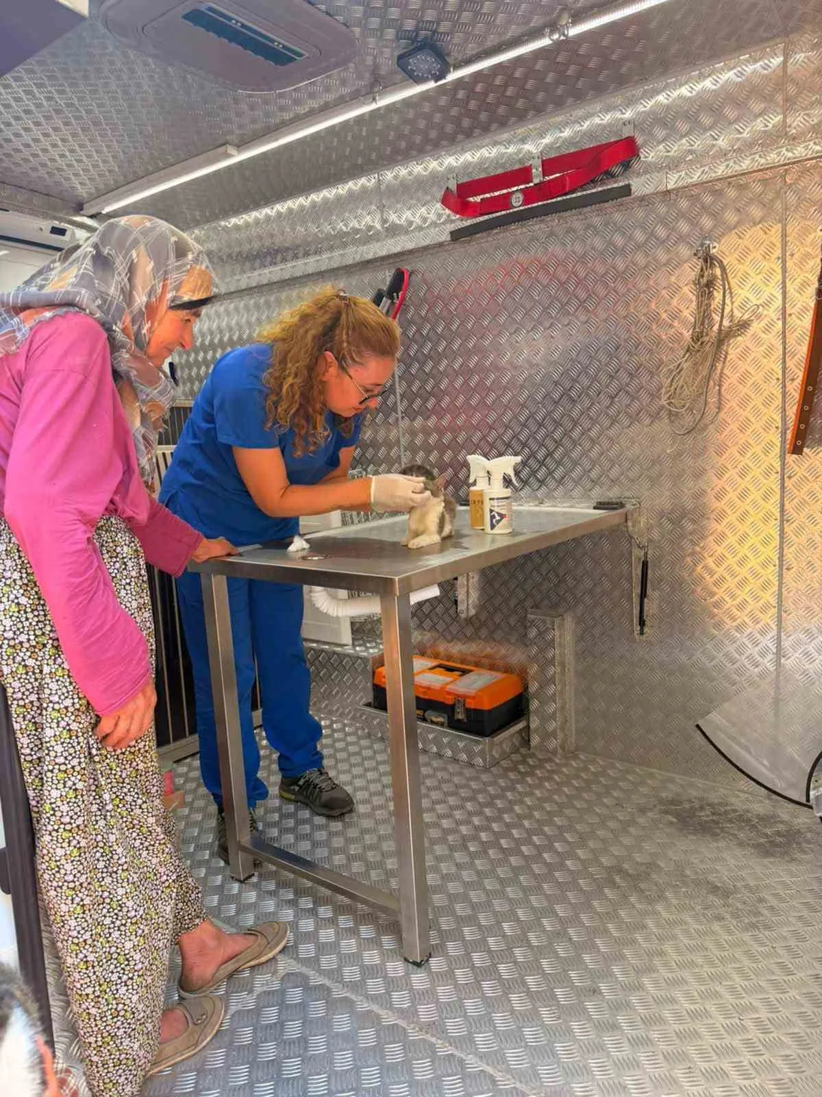 Alevlerin ortasında kalan canlara umut eli: Muğla’da örnek dayanışma