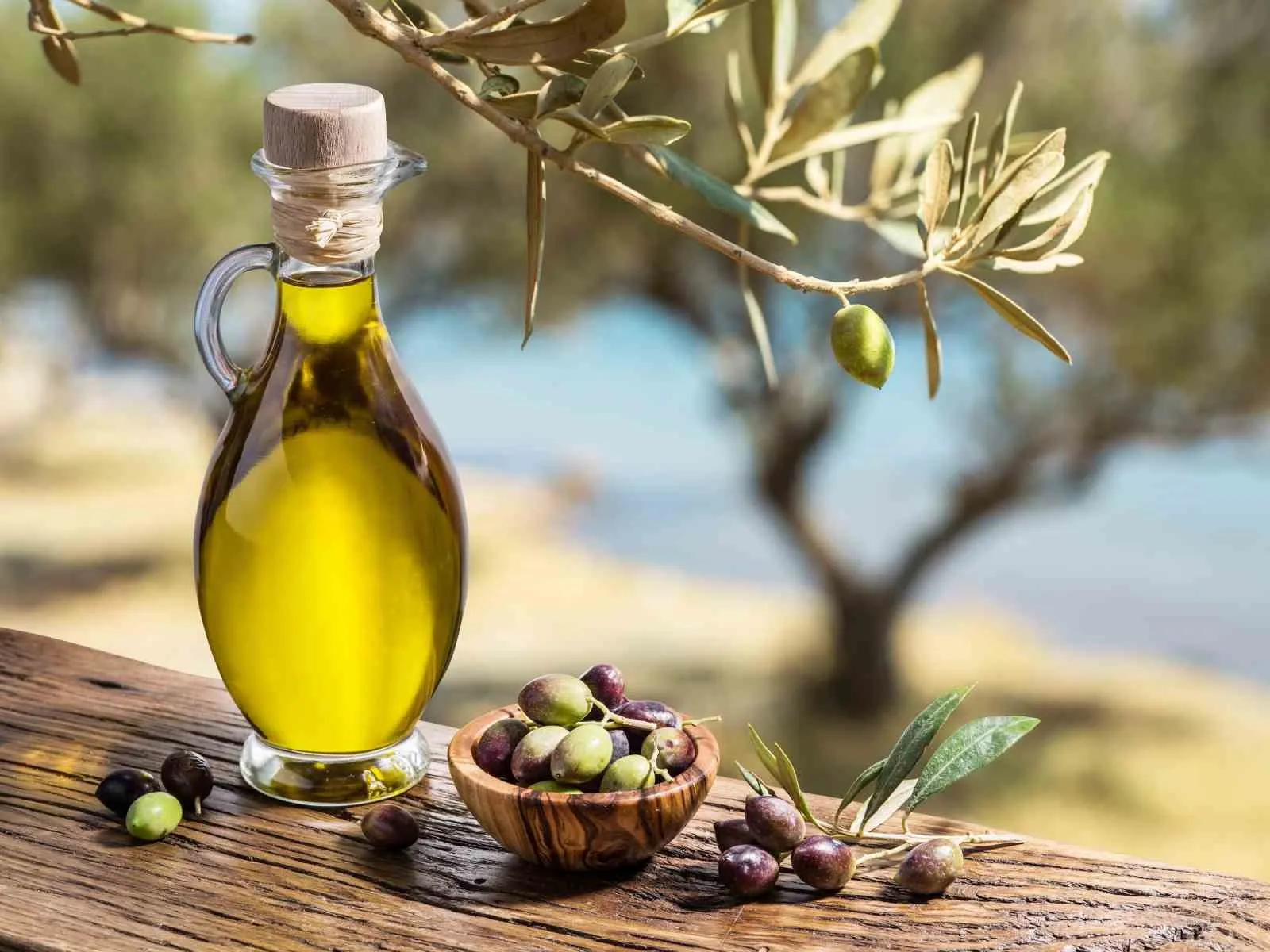 Muğla’nın bereketli toprakları ve denizleri küresel pazarda yükselişte