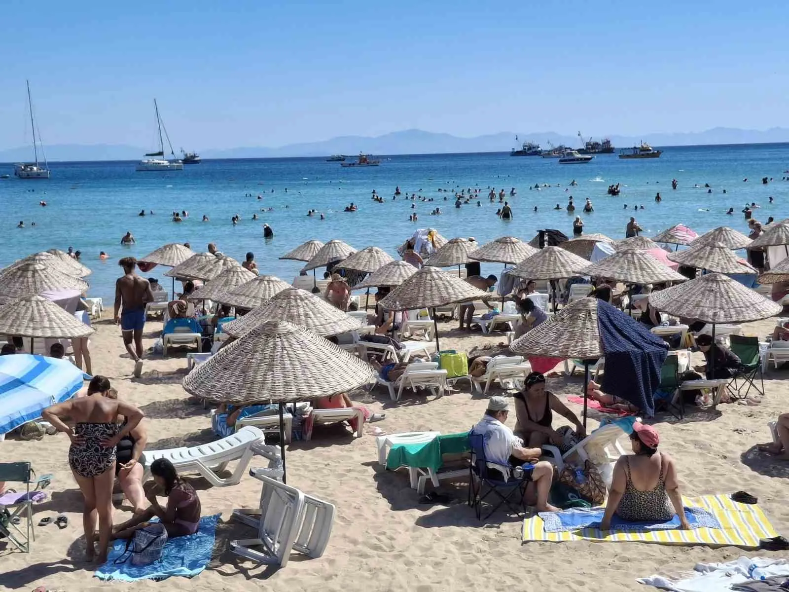 Didim’de eylül bereketi: Yaz mevsimi sahillerde mola verdi