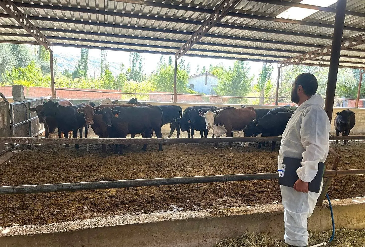 Afyonkarahisar'da üreticinin kapısı çalındı: Desteklenen hayvanlar tek tek incelendi