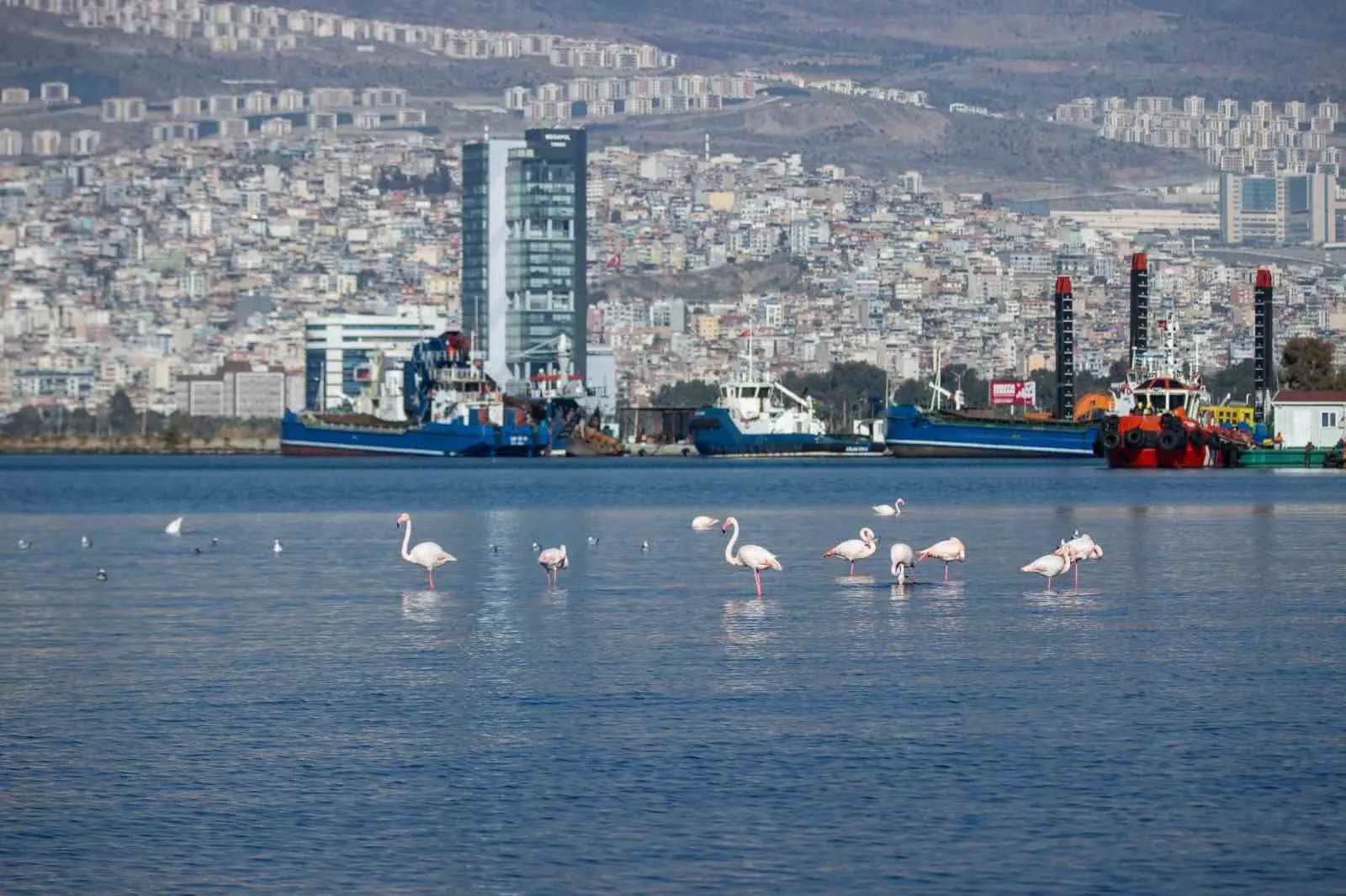 İzmir, Avrupa’nın iklim rotasını belirlemek için kolları sıvadı