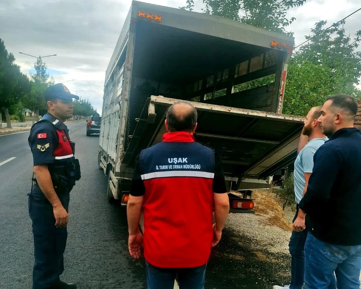 Uşak’ta titiz takip: Hayvan sağlığı için yollar mercek altında