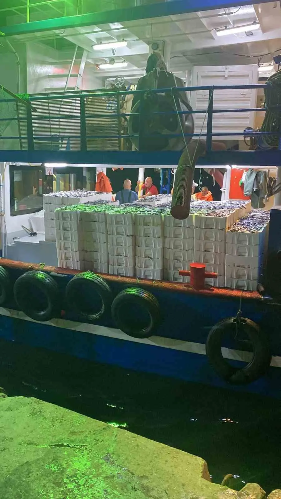 Didim kıyılarında hamsi nöbeti: Ekipler av limitlerini mercek altına aldı