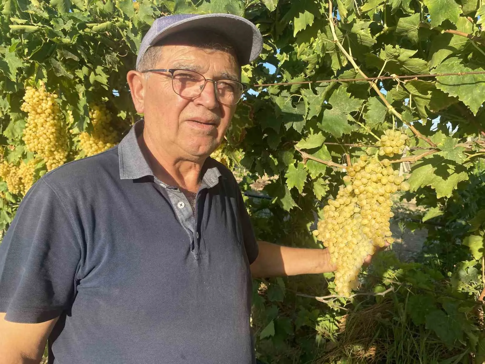 Alaşehirli çiftçinin yüzü güldü: TMO devreye girdi, piyasa hareketlendi