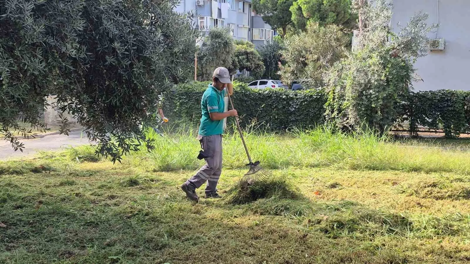 Kuşadası’nda bahar temizliği: Parklar ve refüjler yaza hazırlanıyor