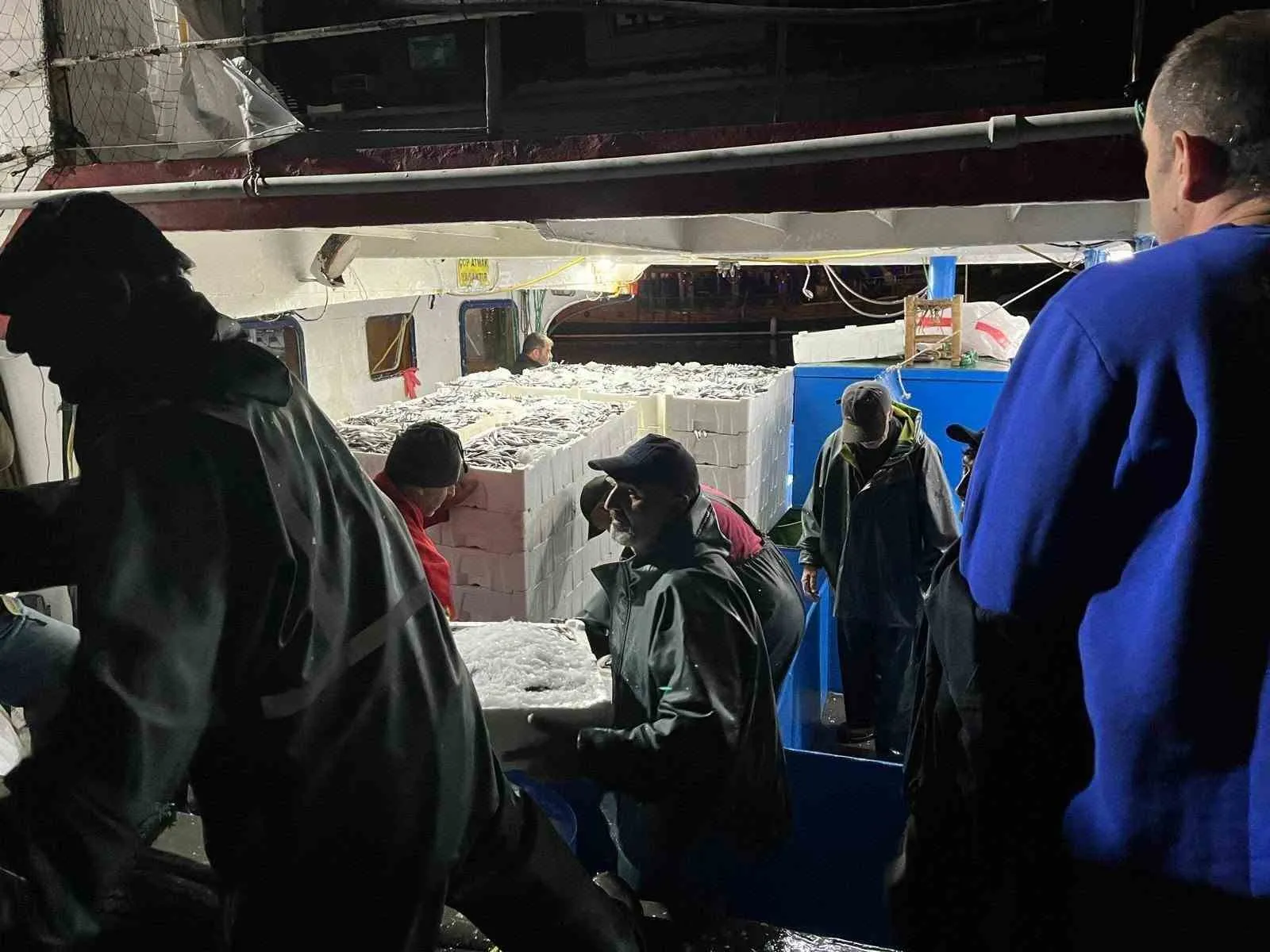 Didim'de denizlerdeki hamsi geleceği için sıkı takip: Kota denetimleri başladı