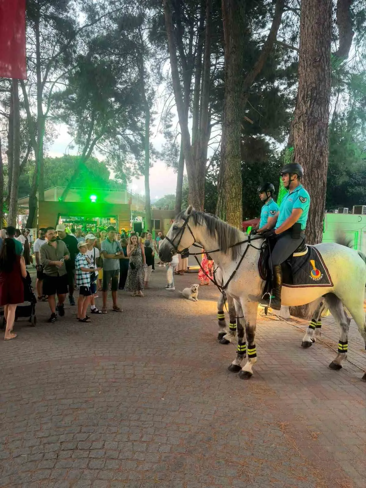 İzmir'in doğal güzelliklerinde atlı jandarma devriyesi: Hem güven veriyor hem gülümsetiyor